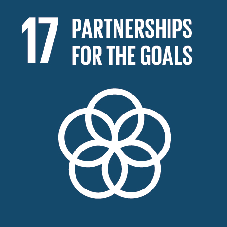 SDG Icon