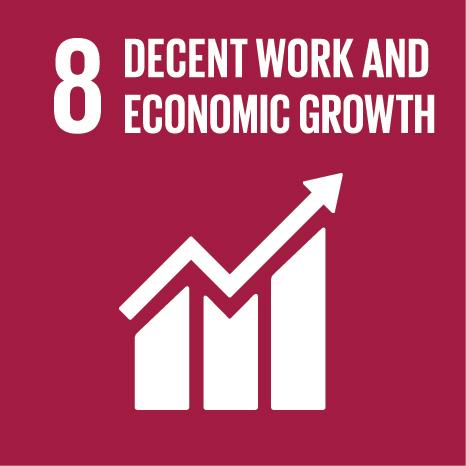 SDG Icon